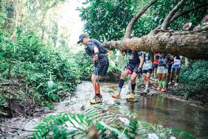 BIB: 
                            <button type="button" onclick="openModal(25468796)" class="btn btn-primary btn-sm float-right btn-popup" data-toggle="modal" data-target=".modal-high-quality">
                        <i class="fas fa-shopping-cart"></i> Add to Cart
                    </button>
                                            <button type="button" onclick="isThisMe(25468796, true)" class="btn btn-success btn-sm float-right btn-popup btn-isme hidden" data-toggle="tooltip" data-placement="bottom" title="นี่คือรูปของคุณใช่ไหม คลิกที่นี่เพื่อเอาเข้าอัลบั้ม">
                        <i class="fas fa-plus"></i> Add to album
                    </button>
                    <button type="button" onclick="isThisMe(25468796, false)" class="btn btn-warning btn-sm float-right btn-popup btn-isnotme hidden">
                        <i class="fas fa-ban"></i> Remove from album
                    </button>